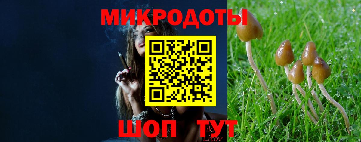 Галлюциногенные грибы прущие грибы Шарыпово
