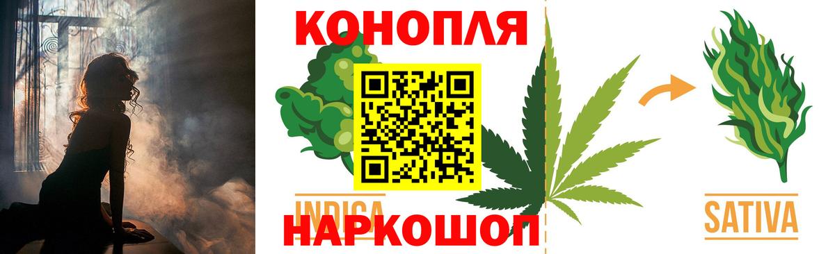 Бошки Шишки план Шарыпово